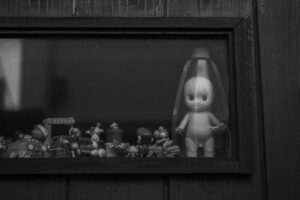 写真作品