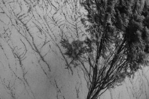 写真作品
