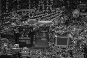 写真作品