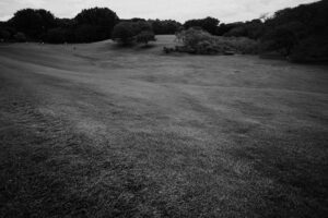 写真作品