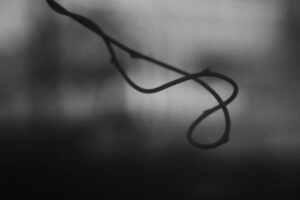 写真作品