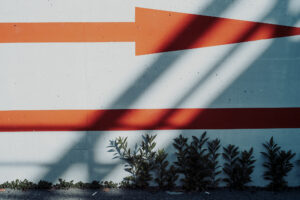 写真作品