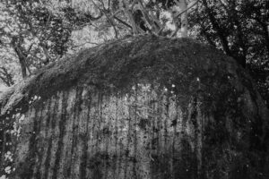 写真作品