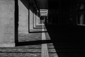 写真作品