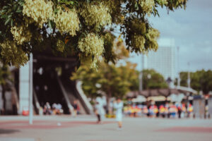 写真作品