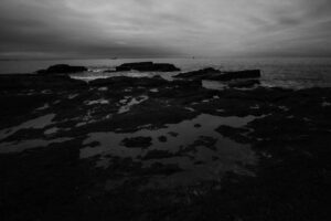 写真作品