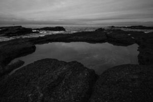 写真作品