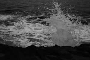 写真作品