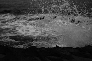 写真作品