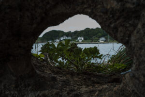 写真作品