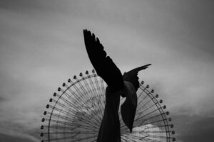 写真作品