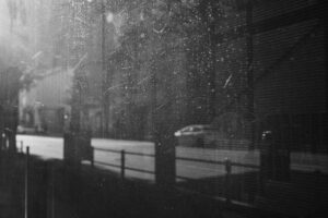 写真作品