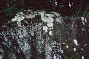 写真作品