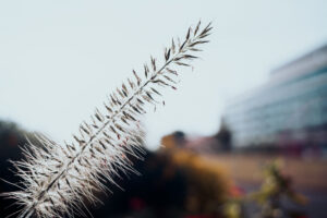 写真作品