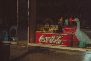 写真作品