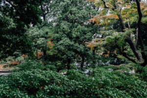 写真作品