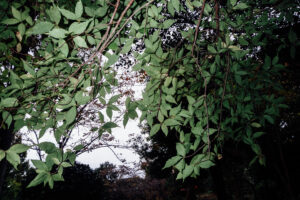 写真作品