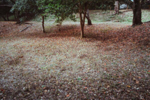 写真作品