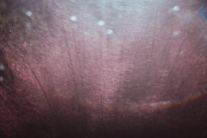 写真作品