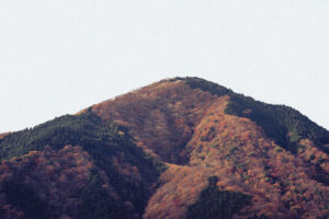 写真作品