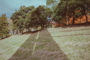 写真作品