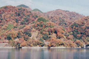 写真作品
