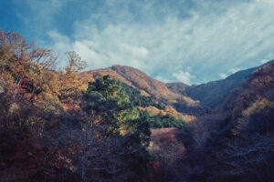 写真作品