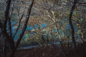 写真作品