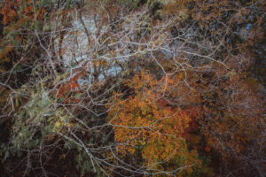 写真作品