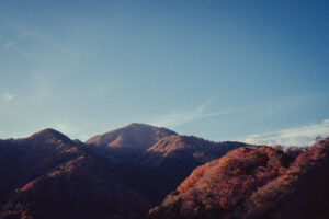 写真作品