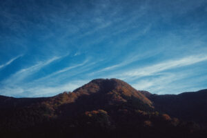 写真作品