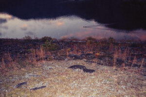 写真作品
