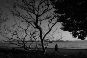 写真作品