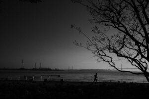 写真作品