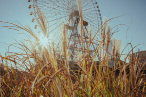 写真作品