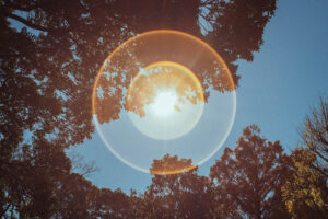 写真作品
