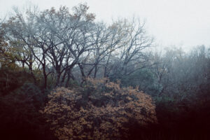 写真作品