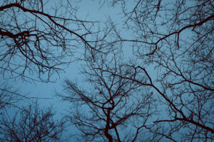 写真作品
