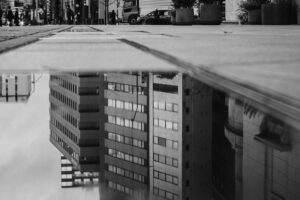 写真作品