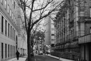 写真作品