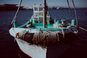 写真作品