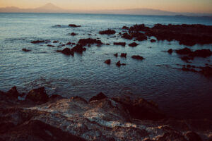 写真作品