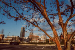写真作品