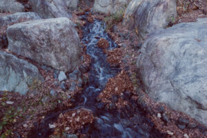 写真作品