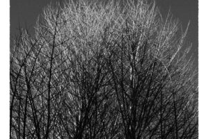 写真作品