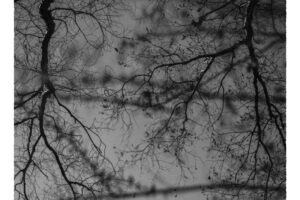 写真作品
