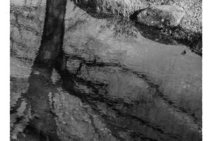 写真作品