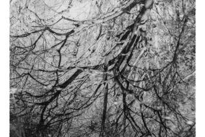 写真作品