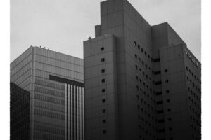 写真作品