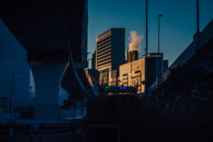 写真作品